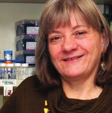 Out of sight, In our minds: Exploring the inner workings ofneurobiology See  page 9