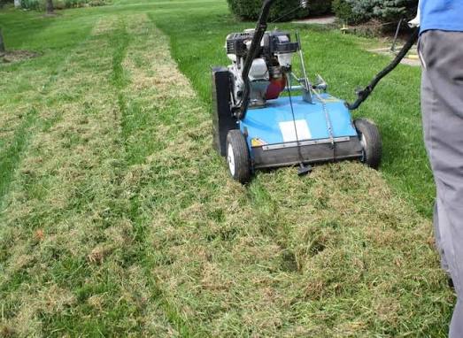 Professional Lawn Dethatching Services