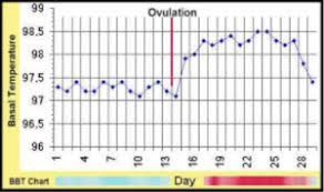 fertility awareness how to track your cycle and know when