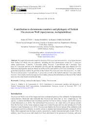 Image result for Vincetoxicum stenolobum