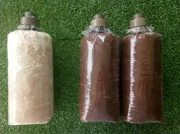 1,345 likes · 2 talking about this. Berbaloi Suri Rumah Dan Pekebun Bandar Tanam Cendawan Di Rumah Walkwithmesyada