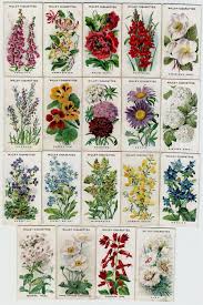 Cheap Decor Ideas Saleprice 34 Cottage Garden Plants Cottage Garden Flowers Names And Pictures
