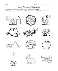Free 5 Senses Worksheet For Kids Crafts And Worksheets For Preschool Toddler And Kindergarte Kindergarten Worksheets Five Senses Worksheet 5 Senses Worksheet
