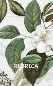 Tutte le informazioni sul nome fiori. Rubrica Rubrica Fiori Di Ciliegio Con Abbastanza Spazio Per 150 Contatti Compresi I Loro Nomi Indirizzi Numeri Di Casa E Di Telefono Cellulare Fiori Di Ciliegio Bianco Italian Edition Pocket Books