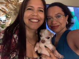 Year-round rental cottage or apartment in Nantucket for a family with two  dogs?