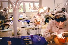 Revista Ensino Superior