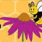 Rolla Bee Club