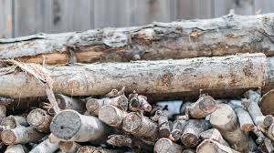 Another spot to hunt down free firewood near you: How Much Firewood Is In A Cord And How To Store It