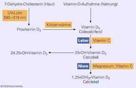Antiepileptika Und Vitamin D