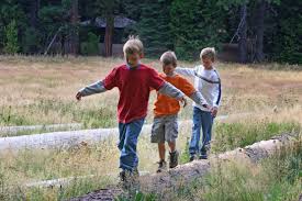 North grove campground is located in the heart of calaveras big trees state park, close to the north grove of giant sequoias and the visitor center. Big Trees Campgrounds Camp Among Giant Sequoias