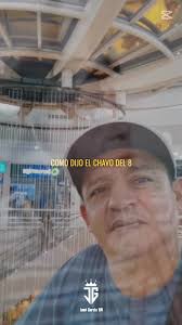Videos de Darwin galeano (@user9742109433918) con “sonido original