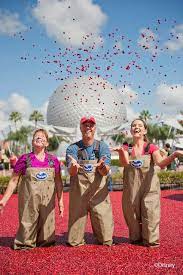 Visit The Ocean Spray Cranberry Bog At The 18th Annual Epcot Food Wine Festival Wine Festival Ocean Spray Cranberry Epcot Food