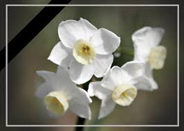 Image result for ‫پیام تسلیت‬‎