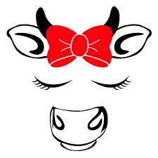 Download Pin On Cow Face