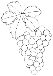 Isaac newton (n.4 ianuarie 1643 / s.v. Fructe Struguri De Colorat P06 Schule Malvorlagen Fruchte Trauben