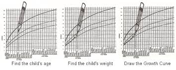 Plotting The Weight On The Growth Monitoring Chart Mother