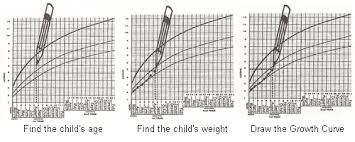 Plotting The Weight On The Growth Monitoring Chart Mother