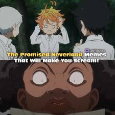 One night, an orphan named conny is sent away to be adopted, but emma and norman follow after noticing that she left her stuffed toy, little bunny, back at the house. 32 Amusing Promised Neverland Memes That Will Make You Happy