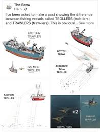 Image result for trawling