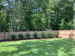 We did not find results for: Our Experience Planting Zoysia Grass In Our Yard Chrissy Marie Blog