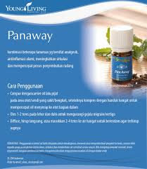 Katalogeo Everyday Oils Kit Panaway Young Living Company Of Angels Indonesia Minyak Esensial Young Living Minyak