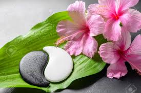 Download 1080x2160 wallpaper leaf, big and green, flora, honor 7x, honor 9 lite, honor view 10, 19440. Beautiful Spa Concept Of Pink Hibiscus Flowers And Yin Yang Of Stone Texture On Big Green Leaf With Dew Closeup Stock Photo Picture And Royalty Free Image Image 63326392