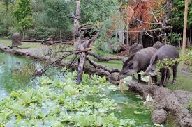 We did not find results for: Pantanal Sudamerika Zoo Zurich Zurich Switzerland By Vetschpartner Landschaftsarchitekten Pantanal Tierlebensraume Zoo