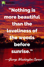 Reading about nature is fine, but if a person walks in the woods and listens carefully, he can learn more than what i hope you enjoyed these george washington carver quotes on success. Earth911 More Ideas Less Waste Environmental Quotes George Washington Carver Quotes Sunrise Quotes