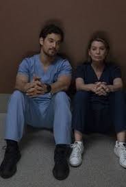 2005 141k members 17 seasons374 episodes. Grey S Anatomy Season 15 Episode 9 Rotten Tomatoes