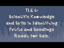 Tle 6 Scientific Knowledge And Skills In Identifying Fruits And Seedling Teacher Guides Skills Puzzle Piece Template