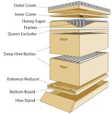 You'll make a space in the hive box by pushing the empty frames to either side of the hive. Getting Started In Beekeeping Pineywoods Beekeepers