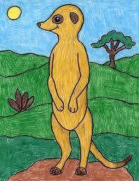 How To Draw A Meerkat Art Projects For Kids Meerkat is a famous animal and similar to kangaro. to draw a meerkat art projects for kids