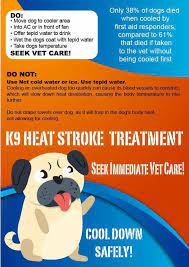 Infographic On First Aid For Heat Stroke Vettechlife Dog Temperature Heat Stroke Dog Died
