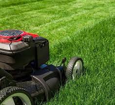 Choose lawn doctor as your lawn care service company and start improving your lawn today. Best Lawn Mowing Service In Washington D C 202 553 7277