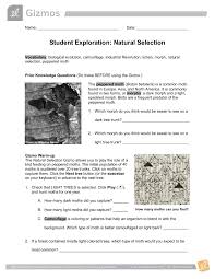 Mutation and selection gizmo we recommend doing that activity evolution natural and artificial selection gizmo. Gizmo Naturalselectionse 1 Flipbook By Reee Itsmee Fliphtml5