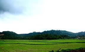 Gunung yang masih aktif yang ditandai dengan keluarnya asap dari puncak gunung. 8 Resort Tepi Sawah Padi Di Langkawi Kedah Buat Saya Jatuh Cinta