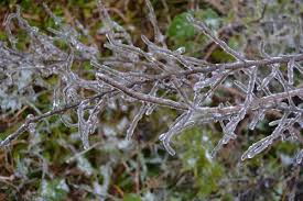 Cùng lúc đó, hoa hậu việt nam 2010 ngọc hân cũng tới dự buổi lễ, chúc mừng cô anh là người đồng hành với mai ngọc trong suốt chuỗi ngày từ dạm hỏi, ăn hỏi, đón dâu đến lễ cưới. Dá»± Bao Thá»i Tiáº¿t Ngay Mai 10 1 Báº¯c Bá»™ Tiáº¿p Tá»¥c Láº¡nh Gia