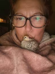 Let's welcome our new members: Heidi Stankavish, Terry Tyler, Mila Shofia,  Lewis Williams, MacKenzie James , David Lopez, Farmstead G.Poultry Palace  Farms, LLC, Isaura Shep, Rick Wheat, Brooklynn Cherry, Equipped Snapon,  Agnes