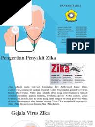 Virus ini bisa ditularkan melalui kehamilan. Zika