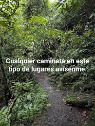 Image result for tbn:Qm8QJA0FQGkeJM::www.trekkingchile.com/Images/mis_fotos/1201890604.jpg