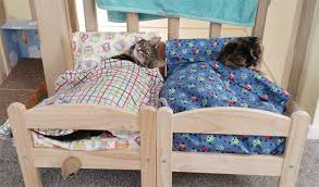Japanese Cat Owners Turn Ikea Doll Beds Into Adorable Cat Beds Ikea Doll Bed Ikea Cat Bed Ikea Cat
