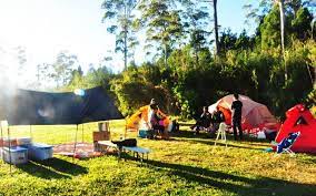 Ranca upas ciwidey ini berada di daerah bandung selatan atau tepatnya berdekatan dengan kawah putih, situ patenggang dan kolam cimanggu. Wisata Ranca Upas Camping Paket Wisata Tiket Masuk