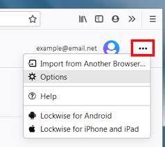 In this way, the application can enter your changed address while autofilling a form. Autofill Logins On Firefox Firefox Help
