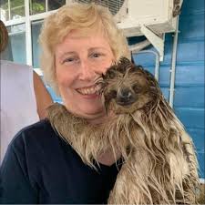 Are there cotton sweaters in Iceland?