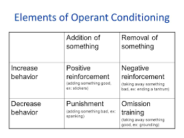 Learning Classical Conditioning Operant Conditioning And