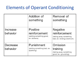 learning classical conditioning operant conditioning and