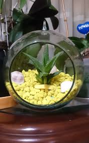 Arena de color decoracion eventos stands souvenirs terrarios. Terrario Con Piedras Y Arenas De Colores Terrarios Grains