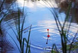 Fishing Floats Types How To Set Them Up Badangling