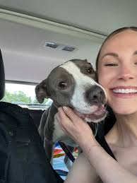 Guts, the good boi ready for adventure 🙌🥰