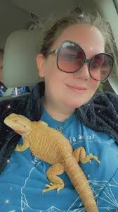 Novem in co-op with elder light